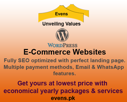 E-Commerce evens social media services ecommerce wordpress websites