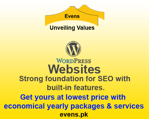 Social Media Services evens social media services wordpress websites